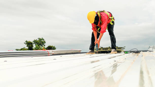 Best Roof Maintenance and Cleaning  in Bethel Island, CA